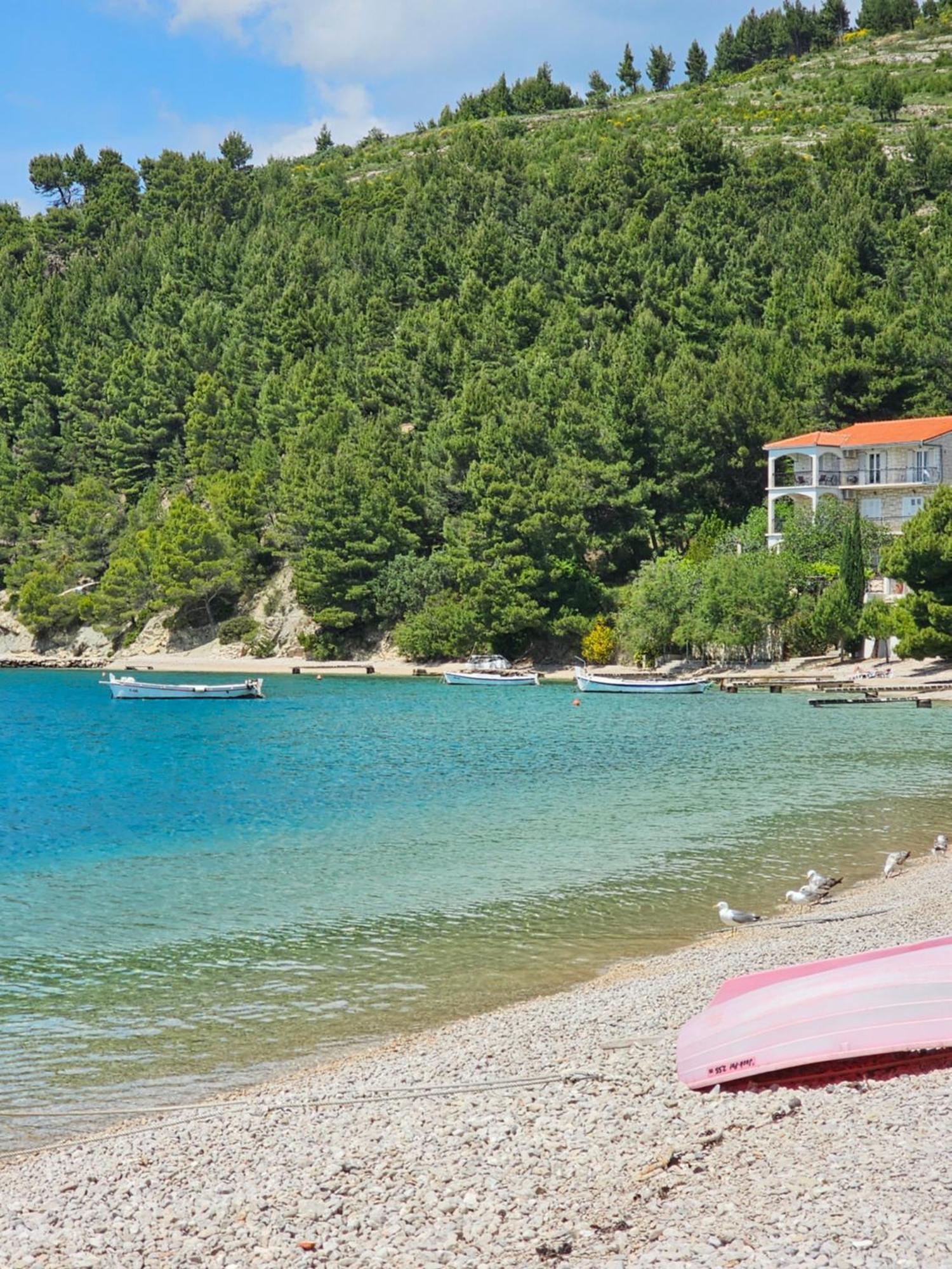 Villa Roing S Stanici Bagian luar foto